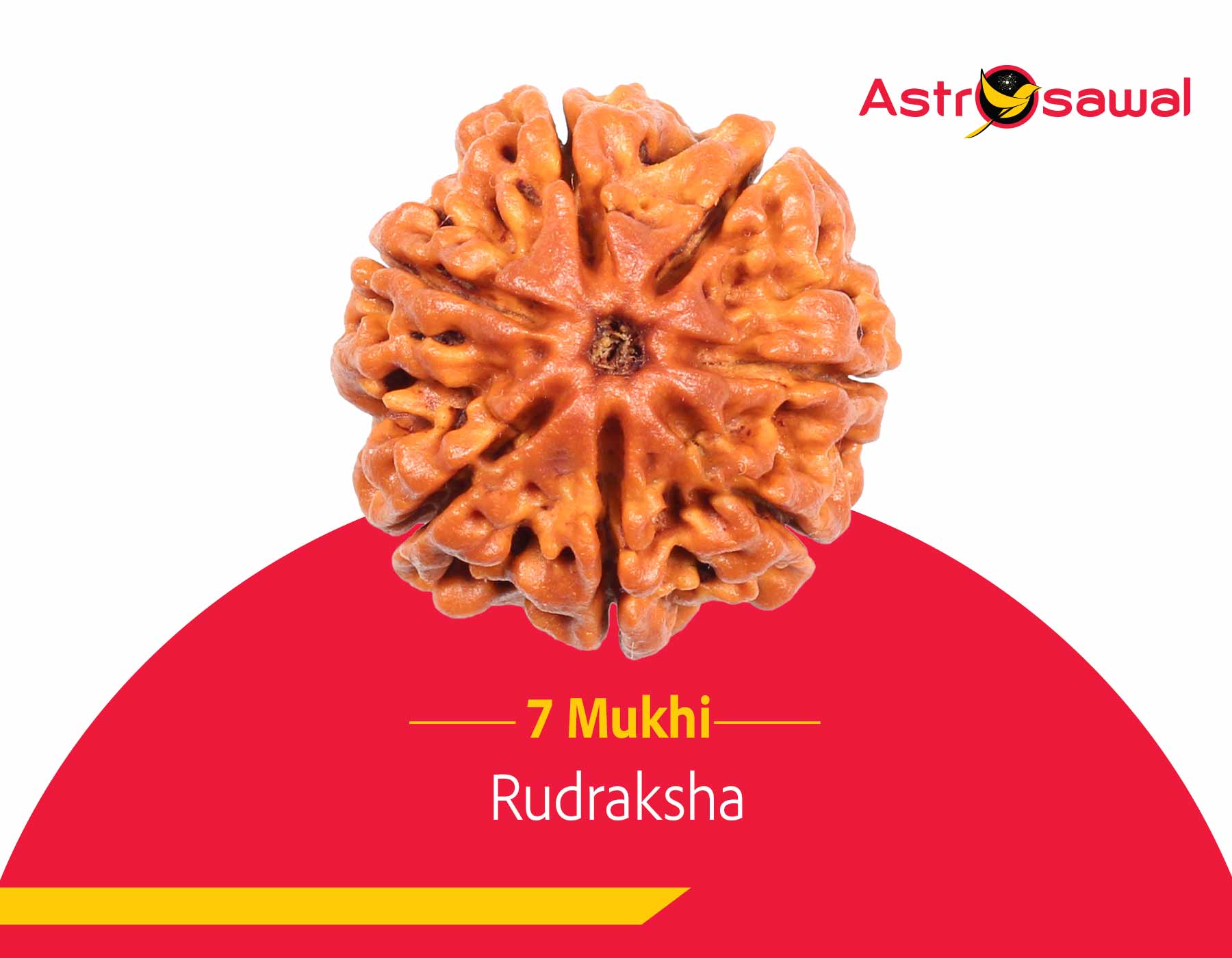 7 Mukhi Rudraksha: The Power of the Seven Faces