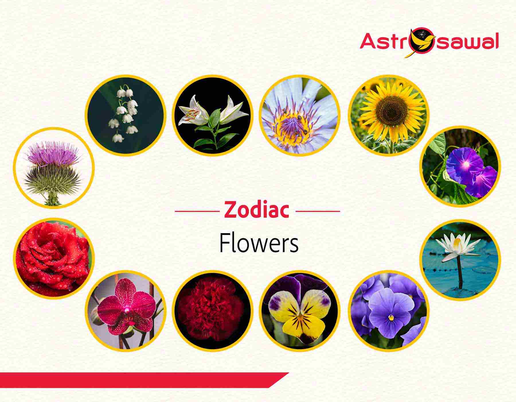 Lucky Flowers For You Based On Your Zodiac Sign