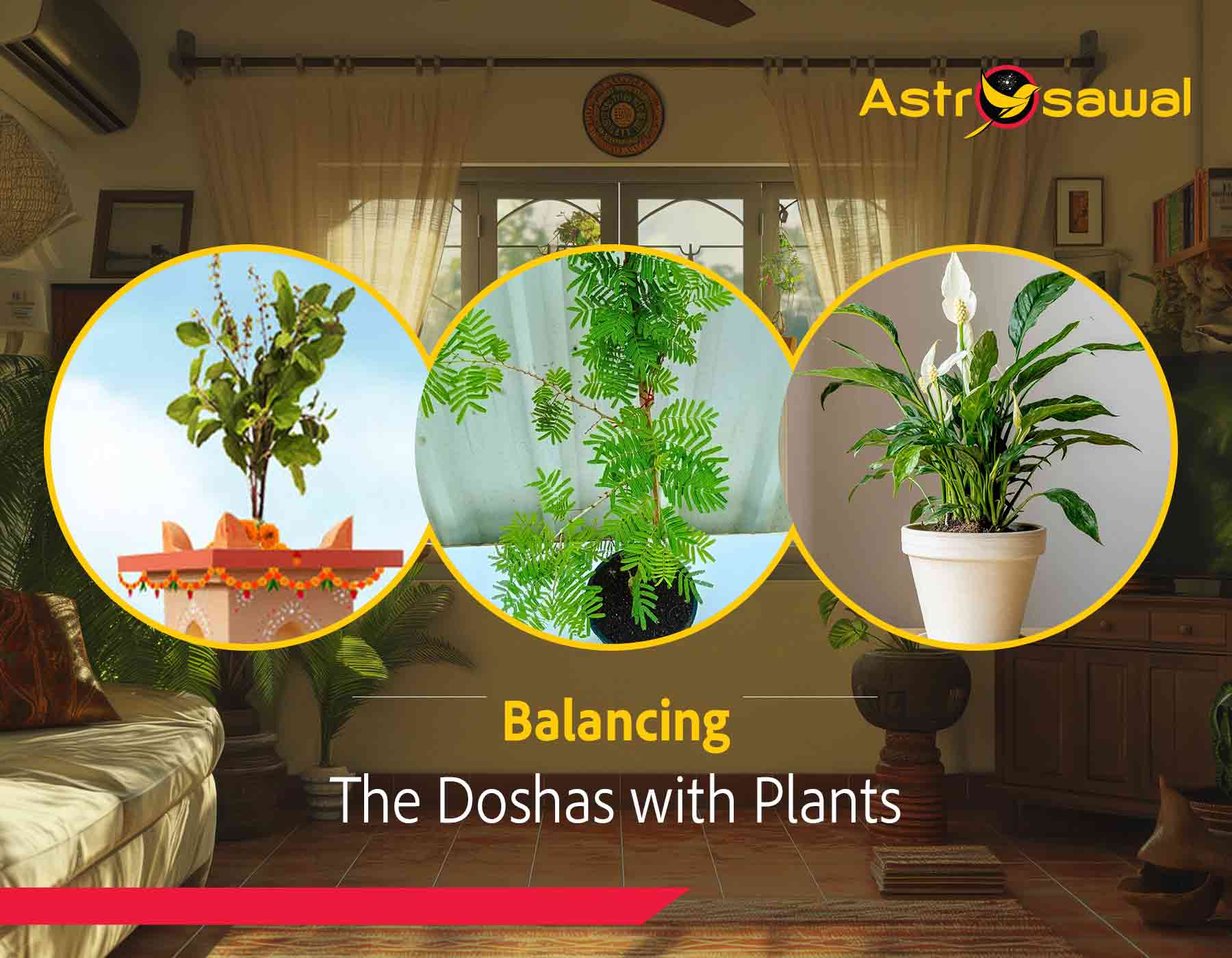 Balancing the Doshas: Using Vastu Plants to Create Harmony in Your Home