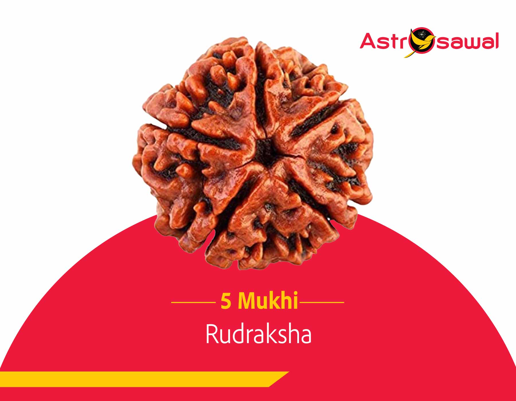 The Sacred Seed: Exploring the Mystical Powers of Five Mukhi Rudraksha